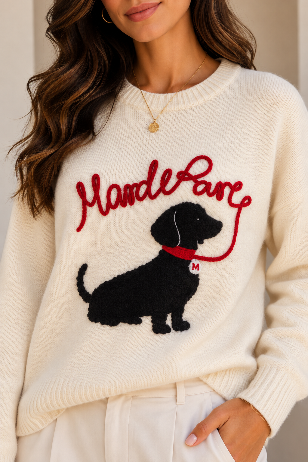 🐶 Amore Dog Sweater 🤍