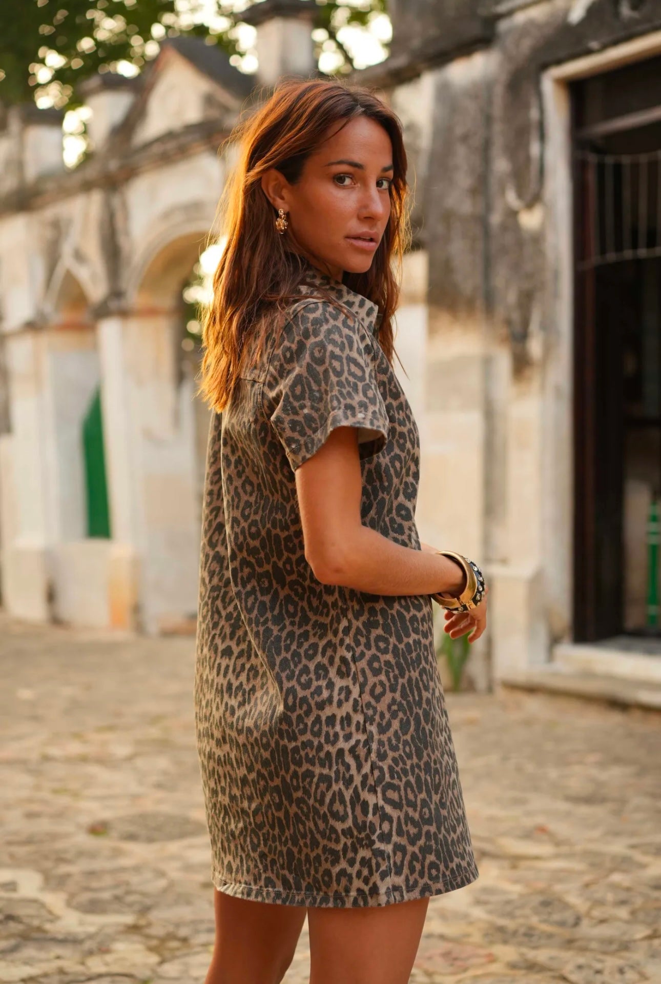 Jurk Leopard